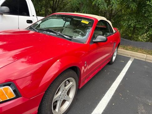 Used 1999 Ford Mustang Cobra RWD image 10