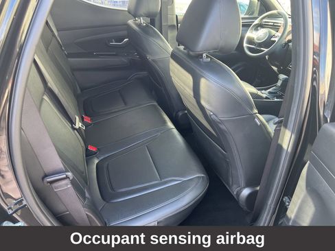 Certified 2024 Hyundai Santa Cruz Night image 23