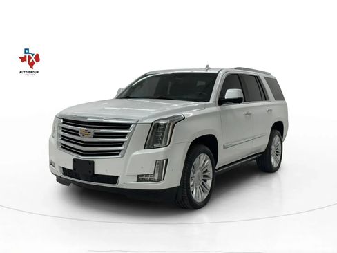 Used 2019 Cadillac Escalade Platinum image 5