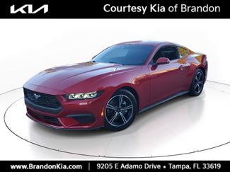 Used 2024 Ford Mustang Premium 360° Tour