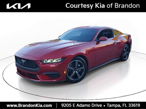 Used 2024 Ford Mustang Premium image 1