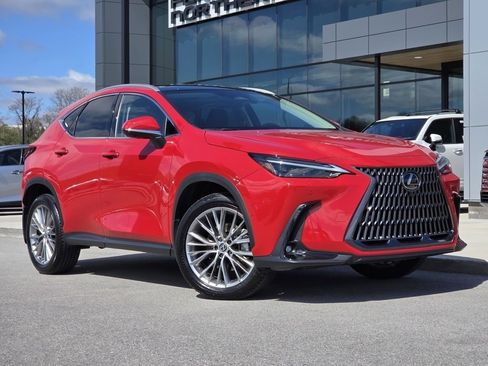 Used 2025 Lexus NX 350h AWD w/ Cold Area Package image 2