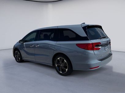 Used 2024 Honda Odyssey Elite