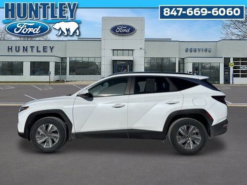 Used 2024 Hyundai Tucson Blue image 7