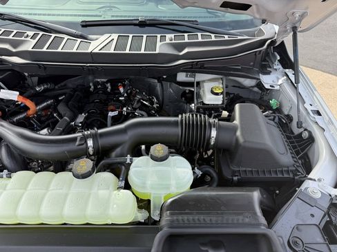 New 2025 Ford F150 XLT w/ Equipment Group 302A MID image 40