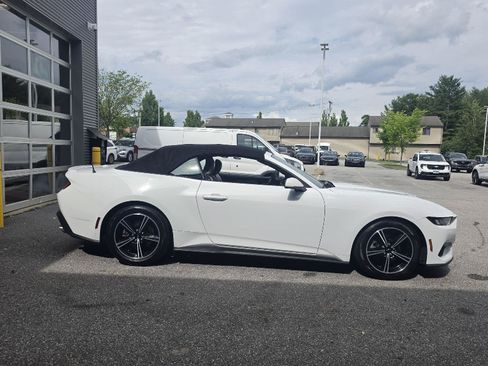 Used 2024 Ford Mustang Premium RWD image 8