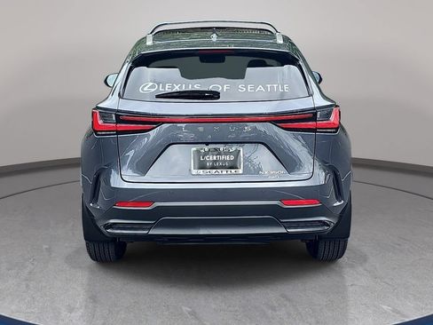 Certified 2025 Lexus NX 350h AWD w/ Cold Area Package image 6