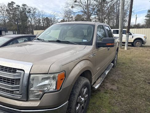 Used 2013 Ford F150 XLT w/ Luxury Equipment Group image 2