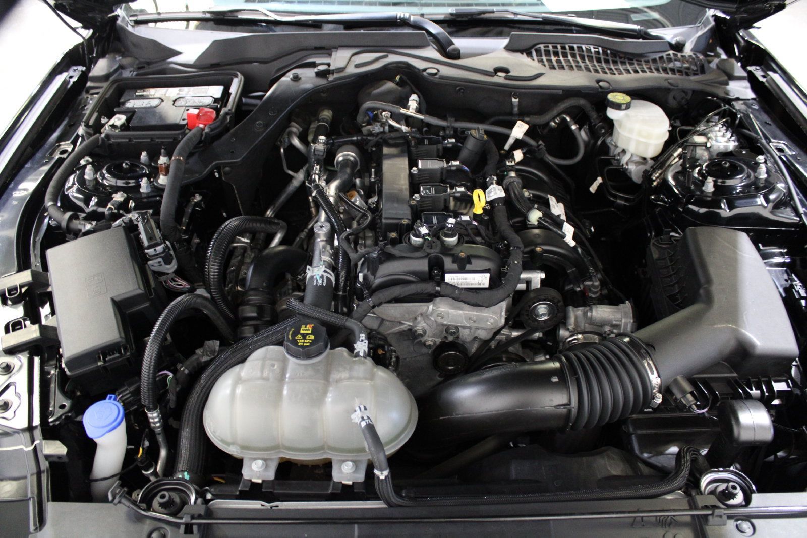 Used 2022 Ford Mustang Premium RWD image 28