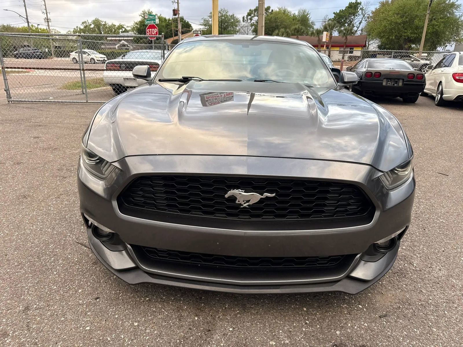 Used 2015 Ford Mustang Premium RWD image 2