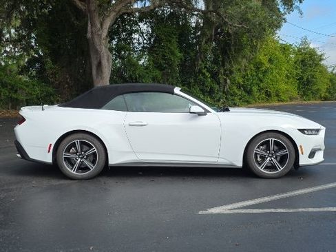 Certified 2025 Ford Mustang Premium RWD image 2