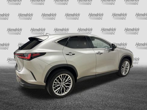 Used 2025 Lexus NX 350 AWD w/ Cold Area Package image 10