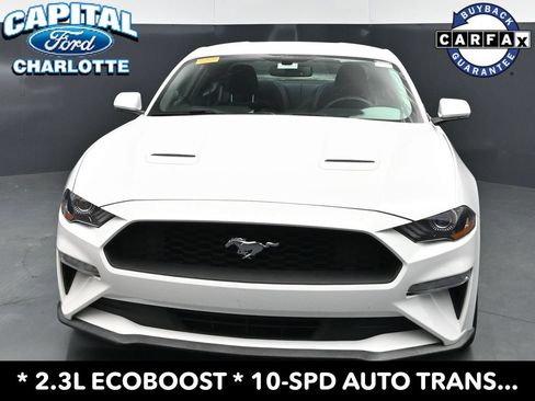 Used 2019 Ford Mustang Coupe RWD image 2