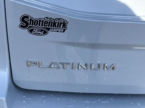 Used 2025 Ford Expedition Platinum image 19