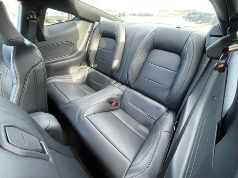 New 2026 Ford Mustang Premium w/ Mustang Nite Pony Package image 16