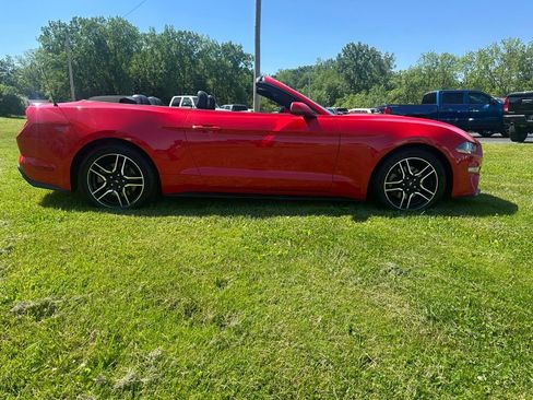 Used 2019 Ford Mustang Premium RWD image 2