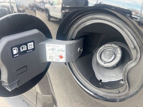 New 2025 Ford F150 Raptor image 5