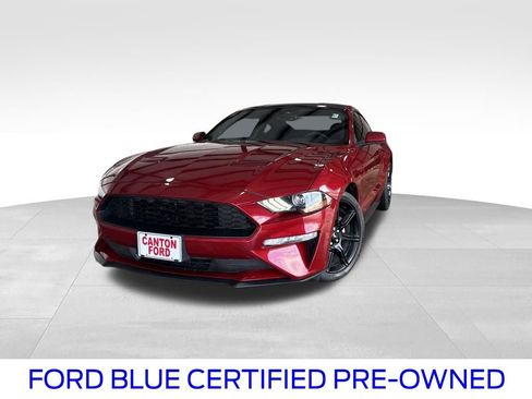 Used 2019 Ford Mustang Coupe w/ Black Accent Package image 1