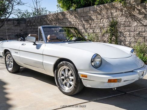 Used 1989 Alfa Romeo Spider Graduate image 12