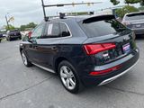 Used 2019 Audi Q5 2.0T Premium Plus w/ Premium Plus Package image 6