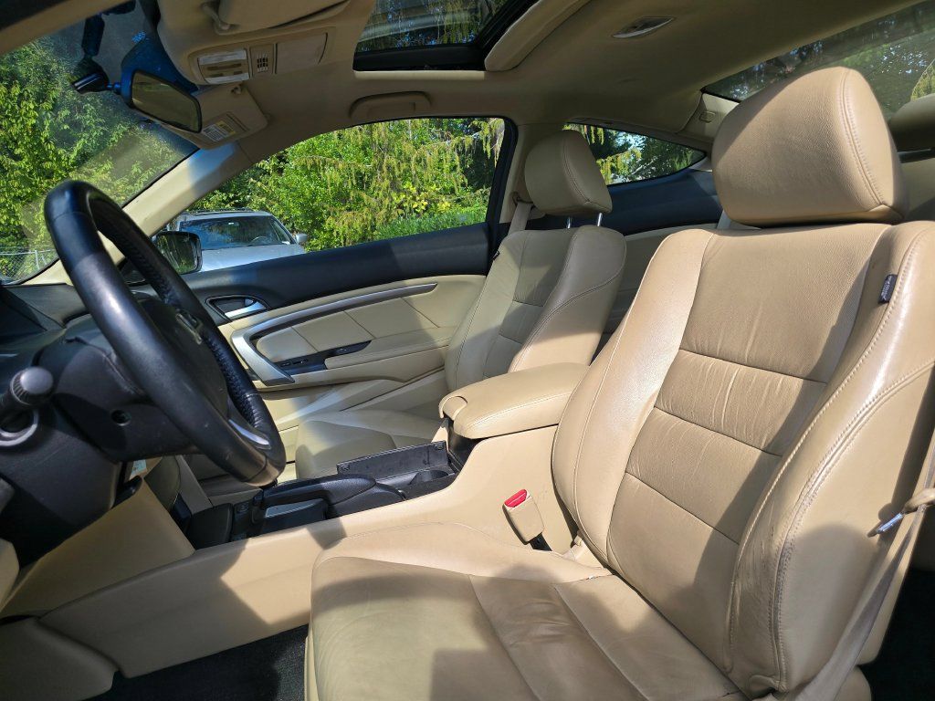 Used 2010 Honda Accord EX-L image 3