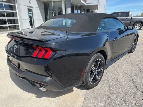 Used 2024 Ford Mustang Premium RWD image 6