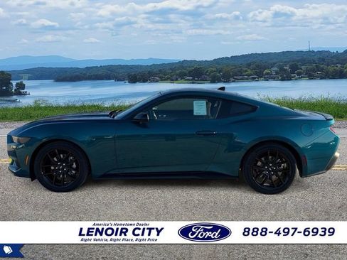 New 2026 Ford Mustang Coupe w/ Mustang Nite Pony Package RWD image 4