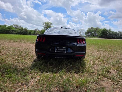 New 2026 Ford Mustang Coupe w/ Mustang Nite Pony Package image 6