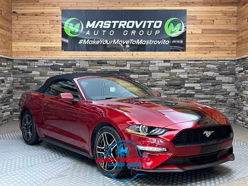 Used 2019 Ford Mustang Convertible w/ Equipment Group 101A RWD image 1