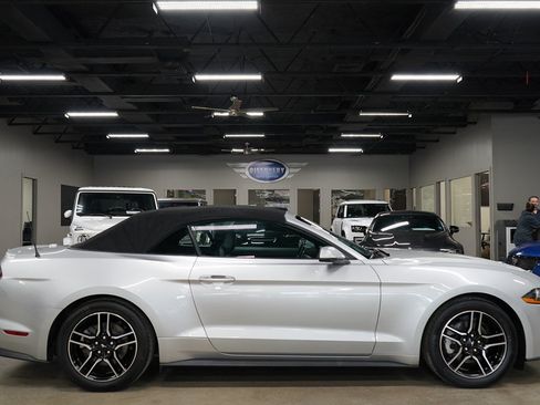 Used 2019 Ford Mustang Premium RWD image 6