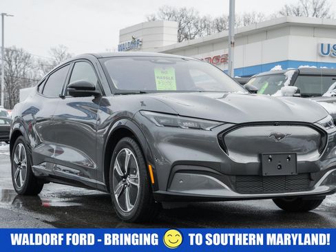 Used 2023 Ford Mustang Mach-E Premium image 1