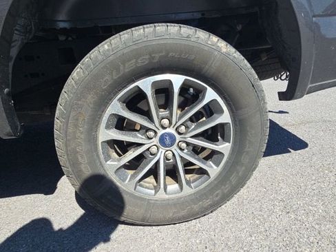 Used 2019 Ford F150 XLT w/ Equipment Group 302A Luxury image 3