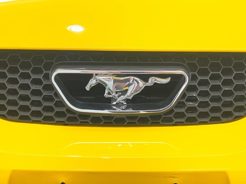 Used 2004 Ford Mustang Convertible RWD image 3