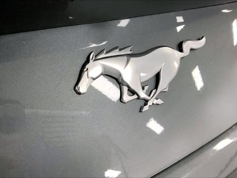 New 2026 Ford Mustang EcoBoostﾮ Fastback image 13