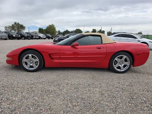 Used 1998 Chevrolet Corvette Convertible image 4