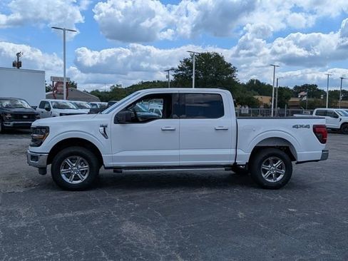 New 2025 Ford F150 XLT w/ Equipment Group 301A Standard image 4