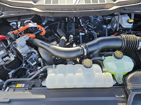 Used 2025 Ford F150 XLT w/ Equipment Group 301A Standard image 29