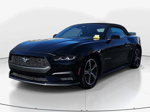 Used 2024 Ford Mustang Premium image 3