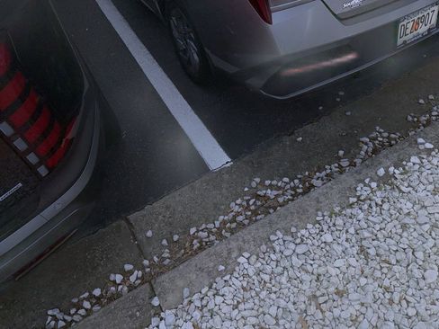 Used 2025 Hyundai Elantra Blue w/ Cargo Package image 6