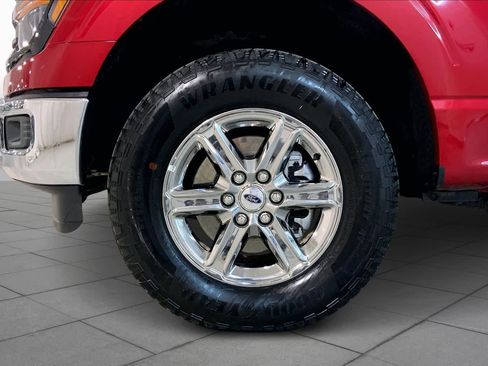 Used 2025 Ford F150 XLT w/ Equipment Group 301A Standard AWD/4WD image 10