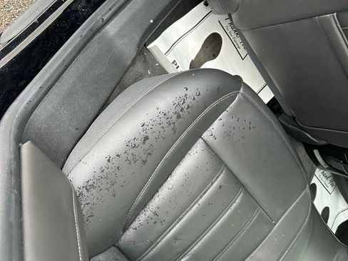 Used 2015 Buick Regal Premium w/ Experience Buick Package image 9