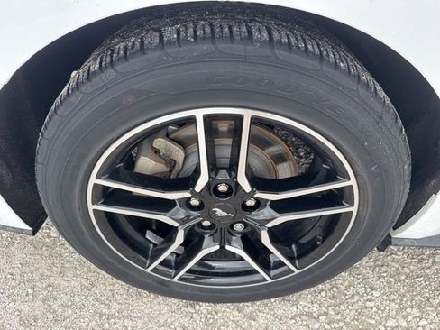 Used 2023 Ford Mustang Premium w/ Equipment Group 201A RWD image 21