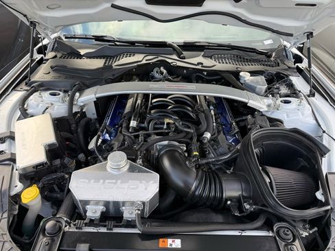 Used 2017 Ford Mustang Shelby GT350 image 14