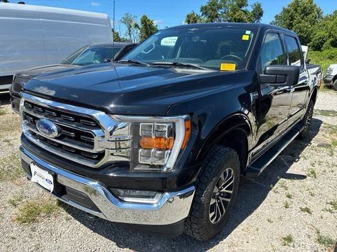 Used 2023 Ford F150 XLT w/ Equipment Group 302A High AWD/4WD image 3