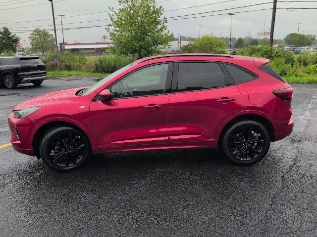 Used 2023 Ford Escape ST-Line Elite AWD/4WD image 2
