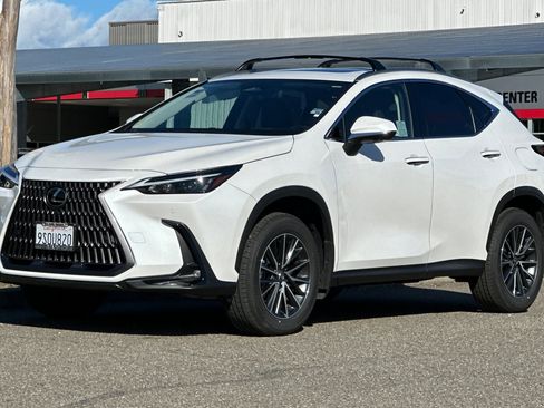 Used 2025 Lexus NX 350h AWD w/ Cold Area Package image 8