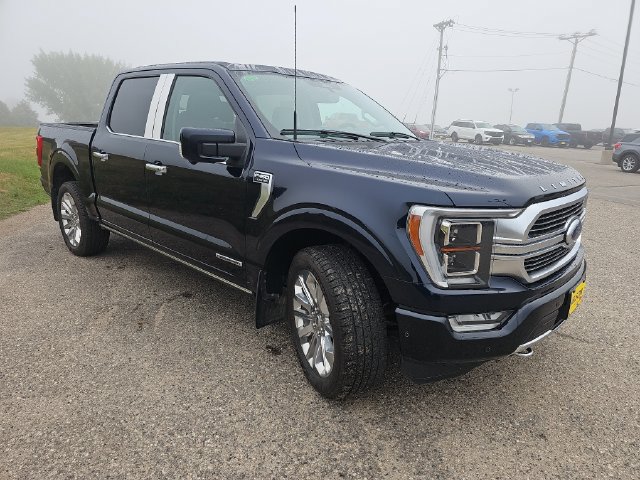Used 2023 Ford F150 Limited AWD/4WD image 7