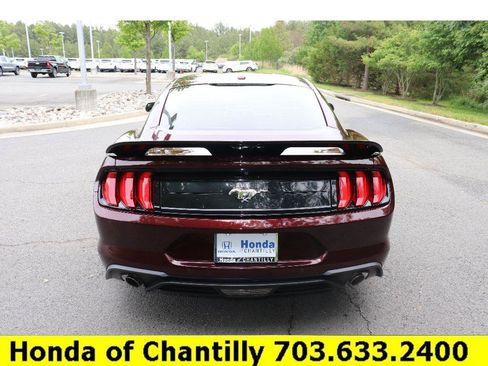 Used 2018 Ford Mustang Premium w/ Equipment Group 201A RWD image 6