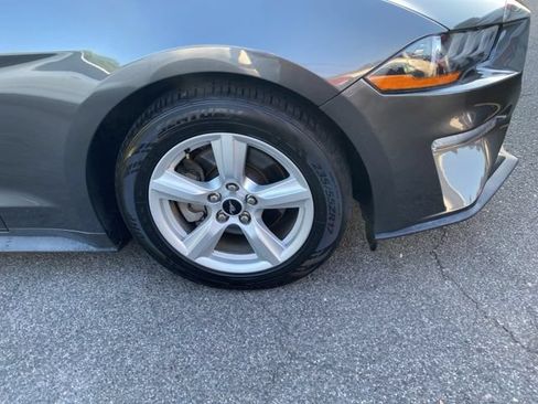 Used 2019 Ford Mustang Coupe RWD image 23