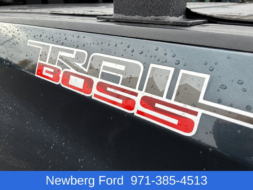 Used 2019 Chevrolet Silverado 1500 Custom Trail Boss w/ Custom Convenience Package AWD/4WD image 13